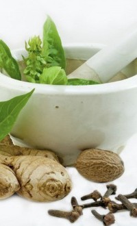 Picture for Ayurvedic